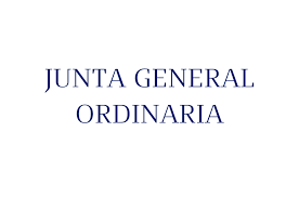 La junta amañada. Los personajes de la Junta Rectora. Cap. XIII.1ª parte. "Junta General Ordinaria/Extraordinaria"