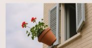La obligación de retirar macetas de las ventanas