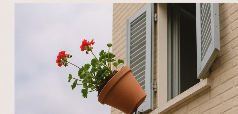 La obligación de retirar macetas de las ventanas